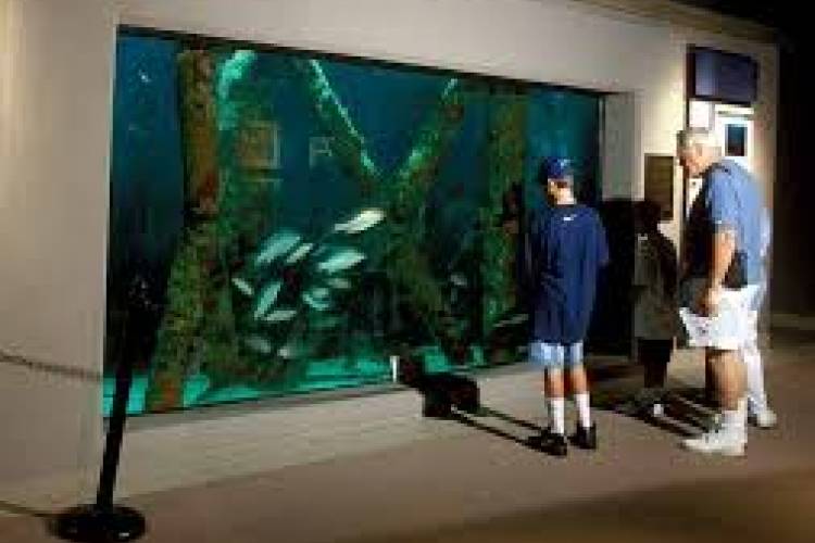 Surfside Beach Area Guide Bluewater Resort Rentals and Sales